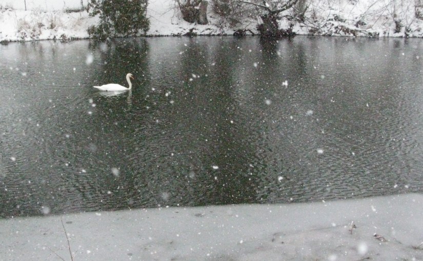 He’s more afraid of&nbsp;you